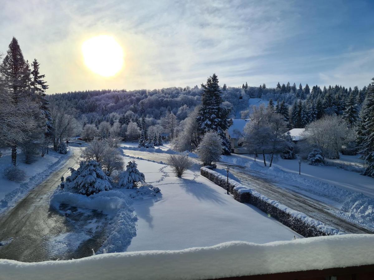 Hotel Hotel Winterberg Resort