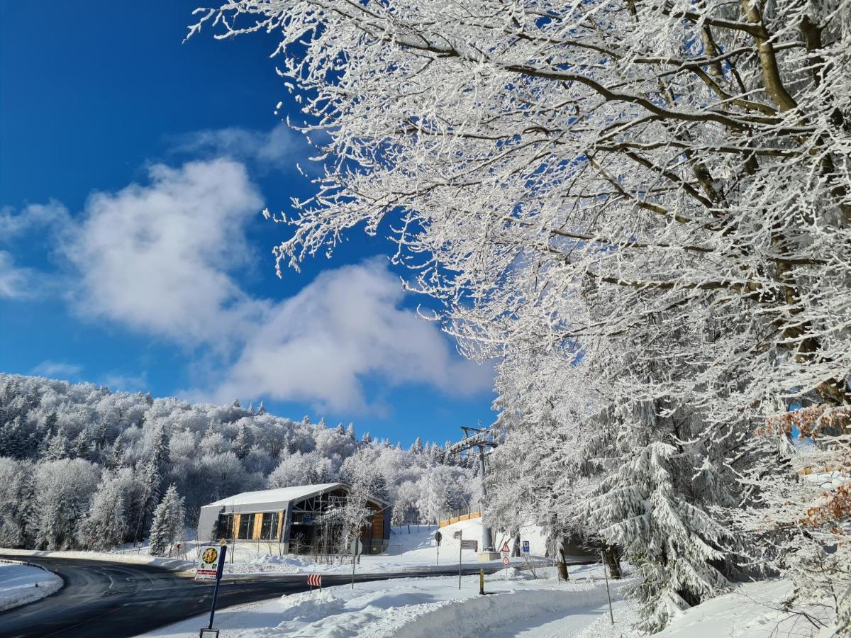 Hotel Hotel Winterberg Resort 3*