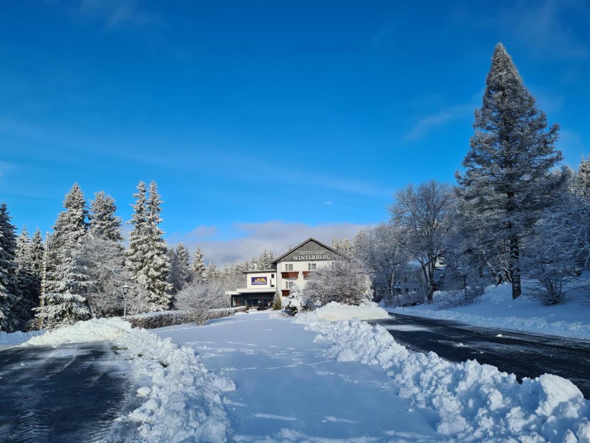 Hotel Winterberg Resort Hotel 3*
