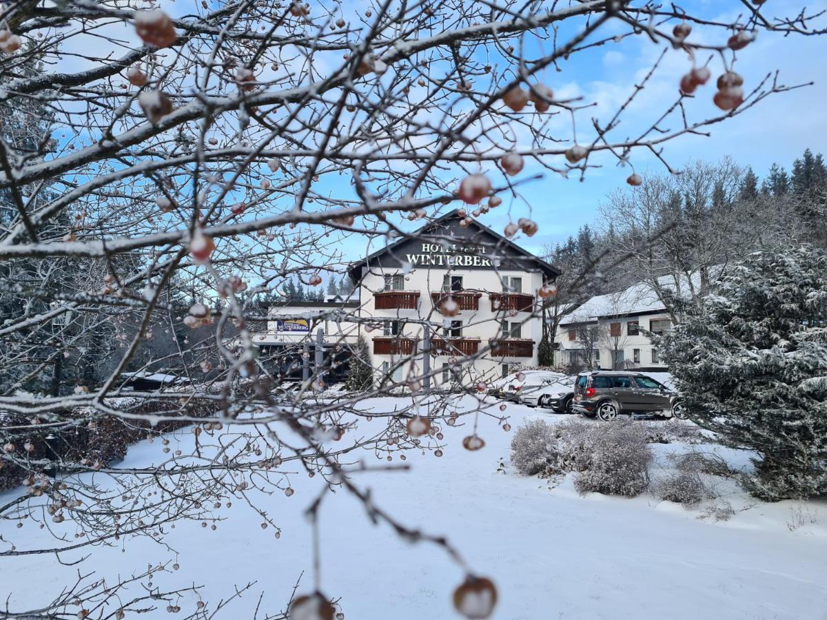 Hotel Hotel Winterberg Resort
